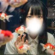 ヒメ日記 2026/08/12 22:05 投稿 はなの☆超可愛いロリ抜群スタイル PREMIUM萌え可愛いチョコレート～全てのステージで感動の体験を～