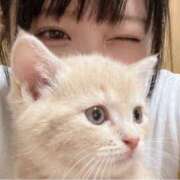 ヒメ日記 2026/09/13 04:03 投稿 はなの☆超可愛いロリ抜群スタイル PREMIUM萌え可愛いチョコレート～全てのステージで感動の体験を～