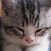 ヒメ日記 2026/03/08 07:46 投稿 かおる 熟女パラダイス岐阜店（カサブランカグループ）