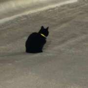 かほ【18歳G乳☆素人学生】 お休み頂きます モッチーナ