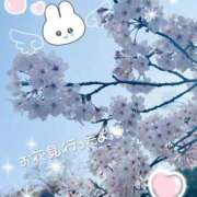 ヒメ日記 2026/03/29 21:09 投稿 みゆき 丸妻 厚木店