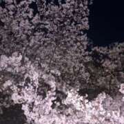 ヒメ日記 2026/04/08 13:18 投稿 ゆりか 乱妻～みだれづま～