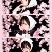 ヒメ日記 2026/03/20 17:04 投稿 ひなた 人妻本舗愛のしずく名古屋店