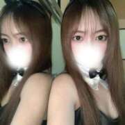 ヒメ日記 2026/03/12 08:26 投稿 うた ロイヤルフラッシュ