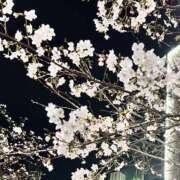 ヒメ日記 2026/03/29 13:56 投稿 しずか 千葉ミセスアロマ（ユメオト）