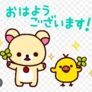 ヒメ日記 2026/03/01 08:34 投稿 星乃花音 五十路マダムエクスプレス横浜店（カサブランカグループ）