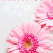 ヒメ日記 2026/03/23 10:44 投稿 星乃花音 五十路マダムエクスプレス横浜店（カサブランカグループ）