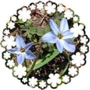 ヒメ日記 2026/03/24 12:18 投稿 星乃花音 五十路マダムエクスプレス横浜店（カサブランカグループ）