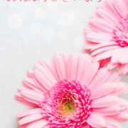 ヒメ日記 2026/03/26 09:14 投稿 星乃花音 五十路マダムエクスプレス横浜店（カサブランカグループ）