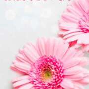 ヒメ日記 2026/03/29 09:02 投稿 星乃花音 五十路マダムエクスプレス横浜店（カサブランカグループ）