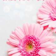 星乃花音 時間変更お知らせ 五十路マダムエクスプレス横浜店（カサブランカグループ）