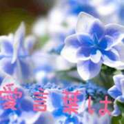 ヒメ日記 2026/06/28 13:26 投稿 星乃花音 五十路マダムエクスプレス横浜店（カサブランカグループ）