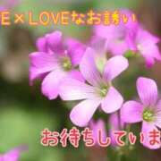 ヒメ日記 2026/07/08 09:18 投稿 星乃花音 五十路マダムエクスプレス横浜店（カサブランカグループ）