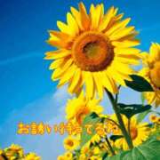 ヒメ日記 2026/07/11 09:24 投稿 星乃花音 五十路マダムエクスプレス横浜店（カサブランカグループ）