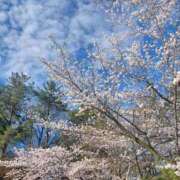 ヒメ日記 2026/04/06 18:14 投稿 野乃さや 五十路マダム富山店(カサブランカグループ)