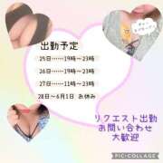 ヒメ日記 2026/05/24 23:44 投稿 しゅり☆刺激を求める未経験 ぽちゃぶらんか甲府店(カサブランカグループ)