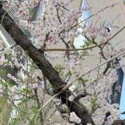 ヒメ日記 2026/03/01 12:42 投稿 しょう 美熟女倶楽部Hip's 春日部店