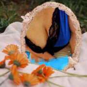 みさき 日本橋熟女咲裸（さくら）（日本橋/デリヘル）