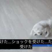 ヒメ日記 2026/03/24 07:43 投稿 せら New Sky