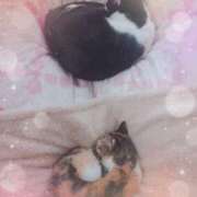 うめ うめ🌸 池袋あられ