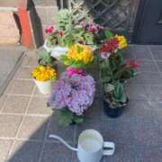 ヒメ日記 2026/03/17 11:49 投稿 てんか ぽっちゃりデリヘル倶楽部