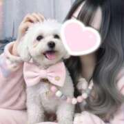 ヒメ日記 2026/03/15 12:30 投稿 りず 奥様特急新潟店