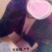 李(すもも) 期間限定復活✨ 黒薔薇