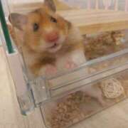 ヒメ日記 2026/03/11 10:22 投稿 こむぎ プレイガール(亀有)