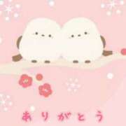 ヒメ日記 2026/03/11 22:41 投稿 青木 かすみ こあくまな熟女たち 本厚木店(KOAKUMAグループ)