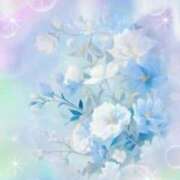 ヒメ日記 2026/03/11 23:00 投稿 青木 かすみ こあくまな熟女たち 本厚木店(KOAKUMAグループ)