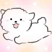 ヒメ日記 2026/03/12 23:33 投稿 青木 かすみ こあくまな熟女たち 本厚木店(KOAKUMAグループ)