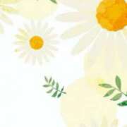 ヒメ日記 2026/03/12 23:46 投稿 青木 かすみ こあくまな熟女たち 本厚木店(KOAKUMAグループ)