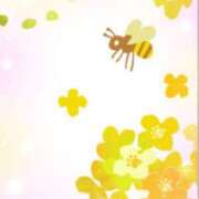 ヒメ日記 2026/03/17 12:34 投稿 青木 かすみ こあくまな熟女たち 本厚木店(KOAKUMAグループ)