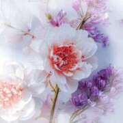 ヒメ日記 2026/03/25 12:13 投稿 青木 かすみ こあくまな熟女たち 本厚木店(KOAKUMAグループ)