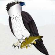 ヒメ日記 2026/03/26 09:20 投稿 青木 かすみ こあくまな熟女たち 本厚木店(KOAKUMAグループ)