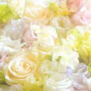 ヒメ日記 2026/03/30 09:56 投稿 青木 かすみ こあくまな熟女たち 本厚木店(KOAKUMAグループ)