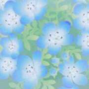 ヒメ日記 2026/03/31 12:44 投稿 青木 かすみ こあくまな熟女たち 本厚木店(KOAKUMAグループ)