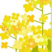 ヒメ日記 2026/04/02 16:43 投稿 青木 かすみ こあくまな熟女たち 本厚木店(KOAKUMAグループ)