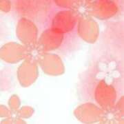 ヒメ日記 2026/04/07 11:50 投稿 青木 かすみ こあくまな熟女たち 本厚木店(KOAKUMAグループ)