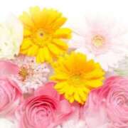 ヒメ日記 2026/04/08 18:06 投稿 青木 かすみ こあくまな熟女たち 本厚木店(KOAKUMAグループ)