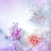 ヒメ日記 2026/04/09 22:27 投稿 青木 かすみ こあくまな熟女たち 本厚木店(KOAKUMAグループ)