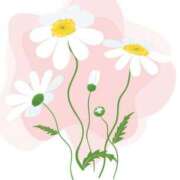 ヒメ日記 2026/04/12 10:29 投稿 青木 かすみ こあくまな熟女たち 本厚木店(KOAKUMAグループ)