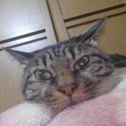 ヒメ日記 2026/03/04 02:55 投稿 水沼　あゆ ミセスサマンサPLUS