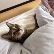 ヒメ日記 2026/04/06 15:21 投稿 みさと 夜這専門発情する奥様たち 谷九店