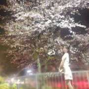 真美【まみ】 夜桜見に行きました🩷 Venti大阪