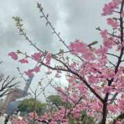 ヒメ日記 2026/03/14 16:03 投稿 れん Secret　select