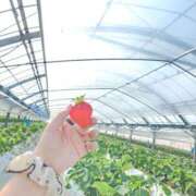 ヒメ日記 2026/03/16 10:06 投稿 れん Secret　select