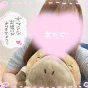 すみれ しゅしゅしゅだ 11チャンネル