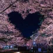 ヒメ日記 2026/04/14 12:23 投稿 体験初日♡さゆきちゃん♪ momo♡霧島店