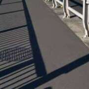 ヒメ日記 2026/03/05 14:29 投稿 もな ハニープラザ（ユメオト）